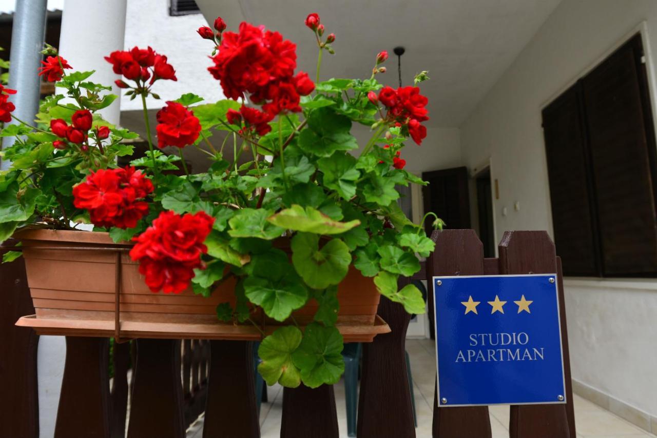 Apartament Bobo *